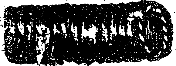 122/122340060000240_0.png