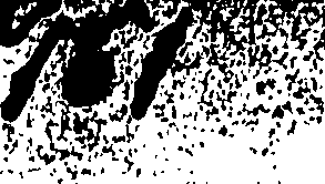 122/122360070000010_2.png