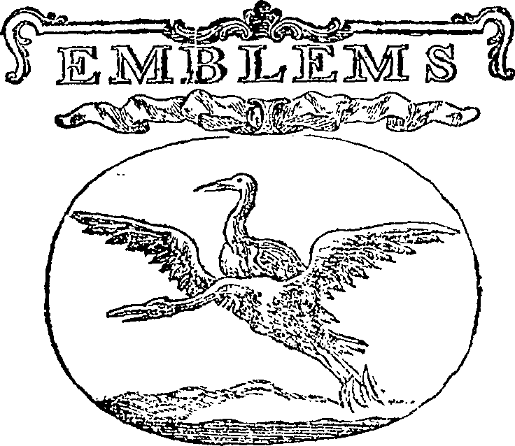 122/122450040000250_0.png