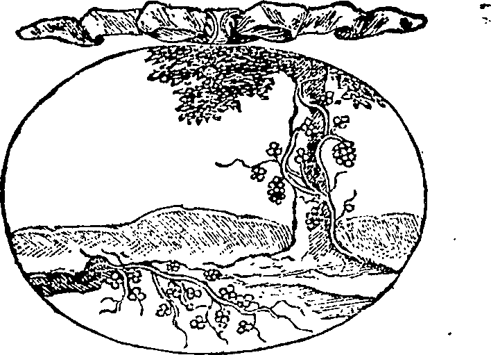 122/122450040000890_0.png
