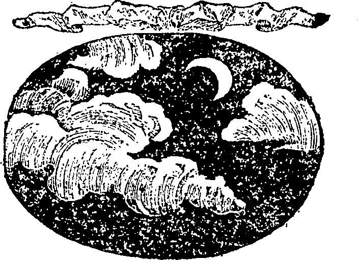 122/122450040001230_0.png