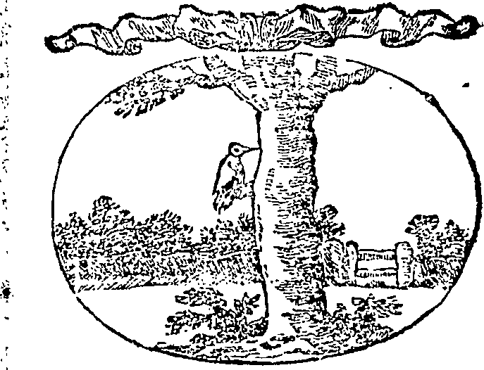 122/122450040001410_0.png