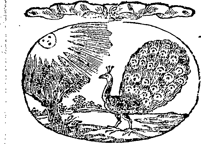 122/122450040001450_0.png