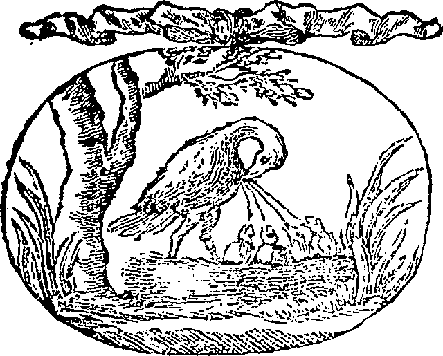 122/122450040001600_0.png