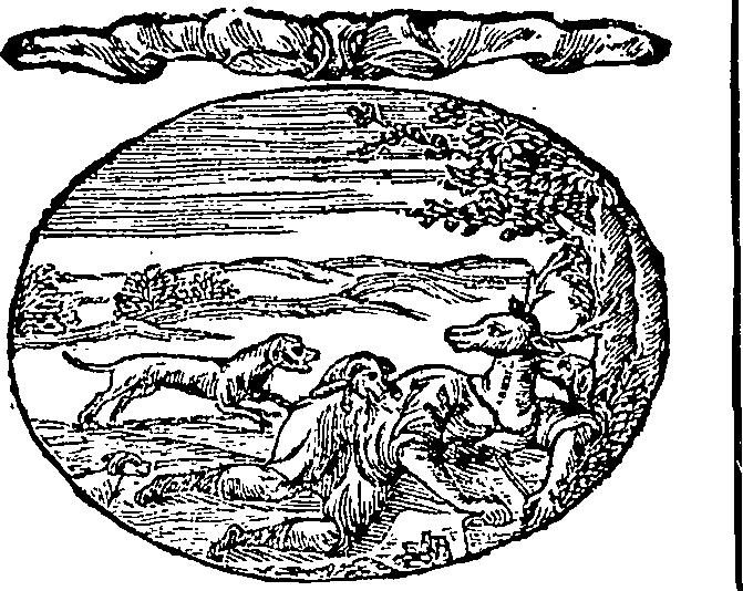 122/122450040001680_0.png
