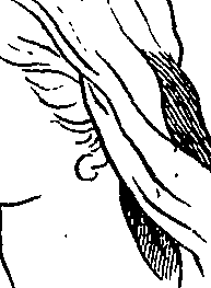 122/122490110000090_1.png