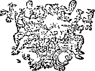 122/122740010301000_0.png