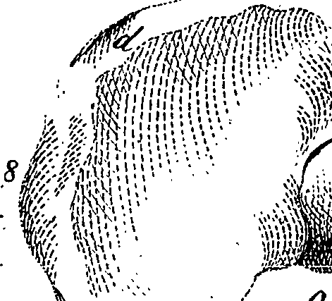 122/122790010000190_0.png