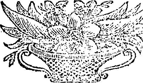 122/122810080002910_0.png