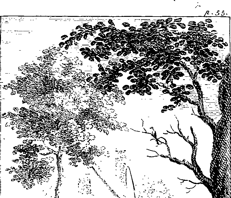 122/122960020000720_1.png