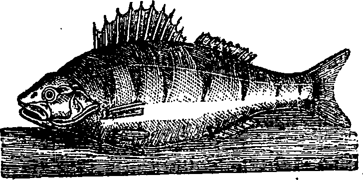 122/122960020001580_0.png