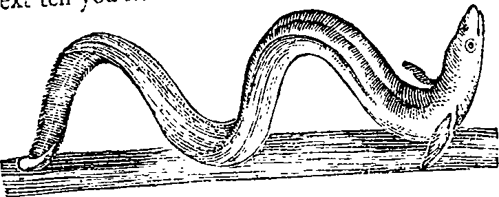 122/122960020001660_0.png