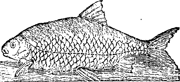 122/122960020001870_0.png