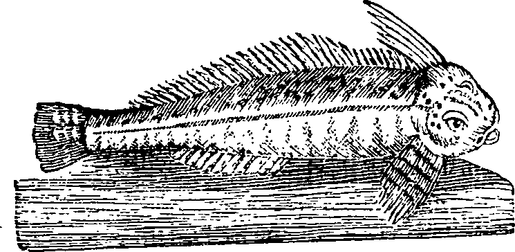 122/122960020002000_0.png