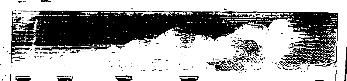 123/123020080001750_0.png