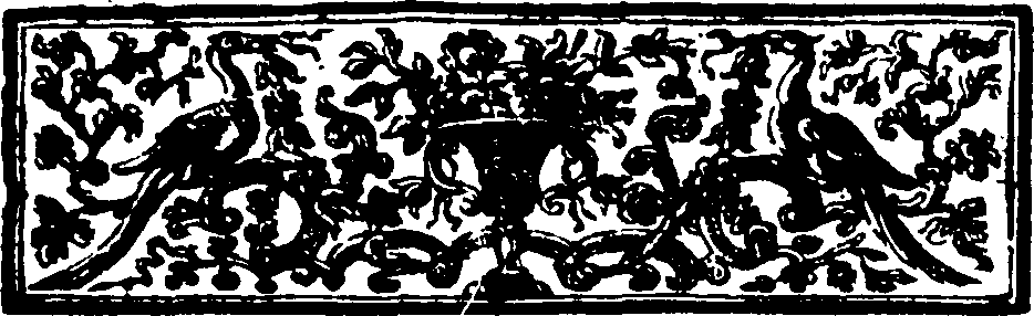 123/123040010003540_1.png