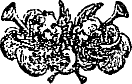 123/123050020102620_0.png