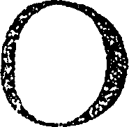 123/123060040304030_0.png