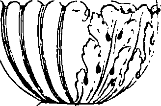 123/123110060001760_0.png
