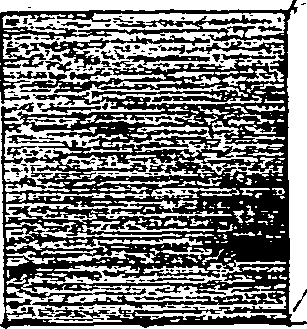 123/123110060001880_0.png