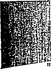 123/123110060001890_1.png