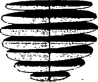 123/123110060001910_0.png