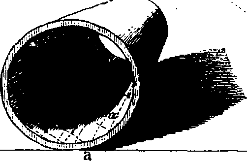 123/123130130002390_0.png
