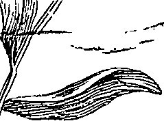 123/123140150006170_1.png