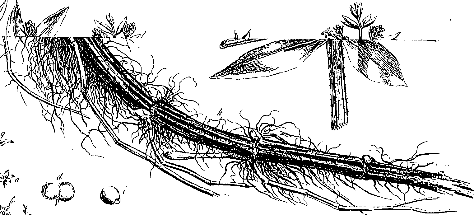 123/123140150006830_0.png