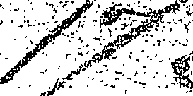 123/123150010000010_1.png