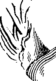 123/123150010000430_1.png