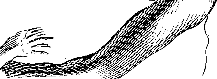 123/123150010000430_2.png