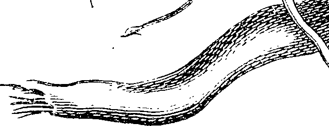 123/123150010000430_3.png