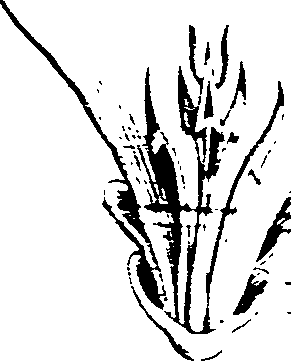 123/123150010000430_4.png