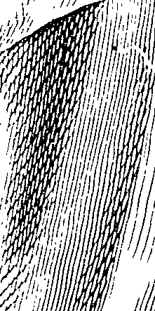 123/123150010000430_5.png