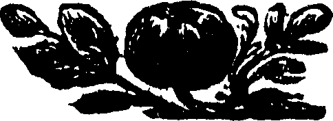 123/123150020202010_0.png