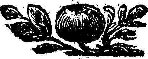 123/123150020202490_0.png