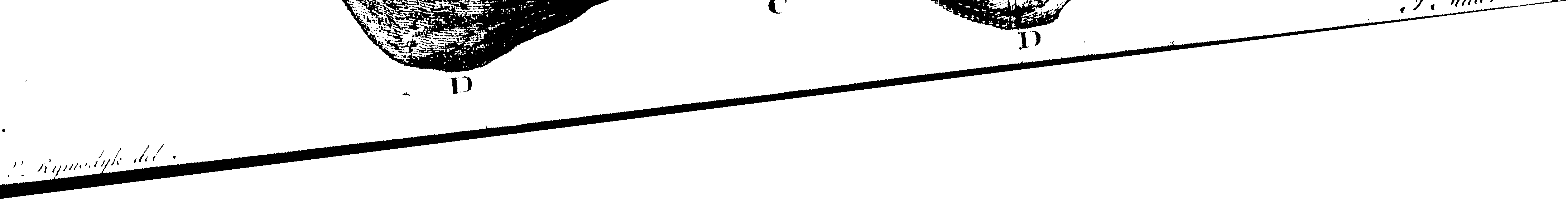 123/123150020204370_0.png