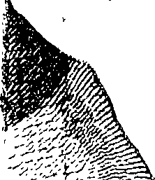123/123150020204440_0.png