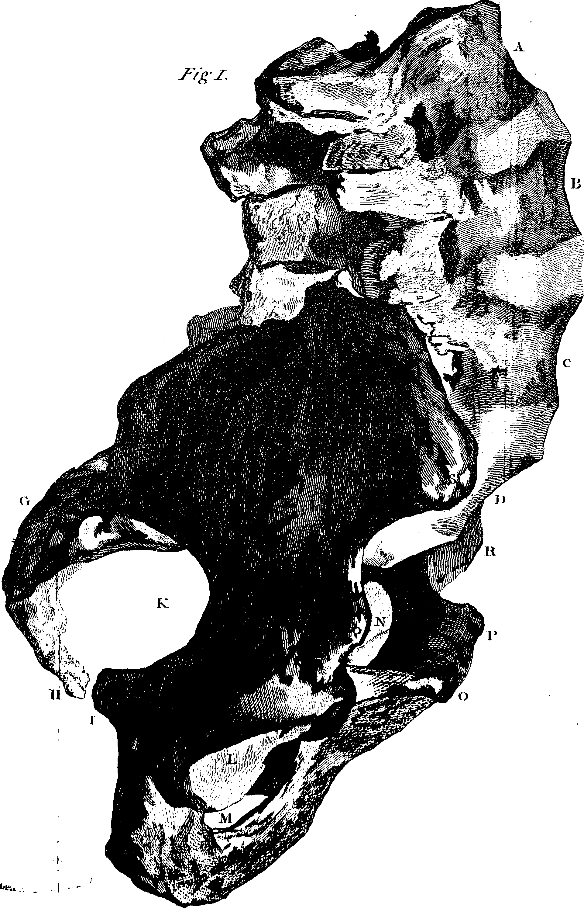 123/123150020204450_0.png