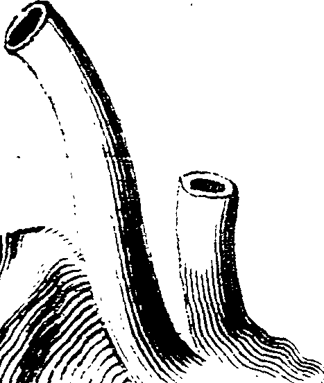 123/123150020300360_0.png