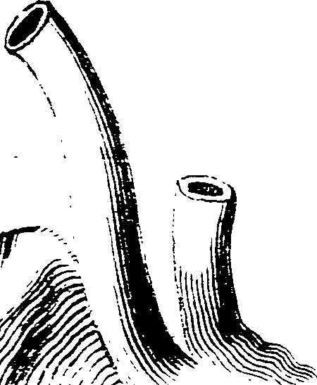123/123150020300380_0.png