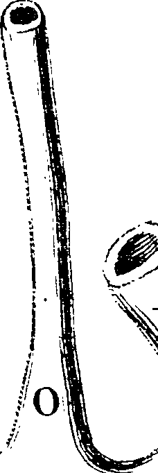 123/123150020300380_1.png