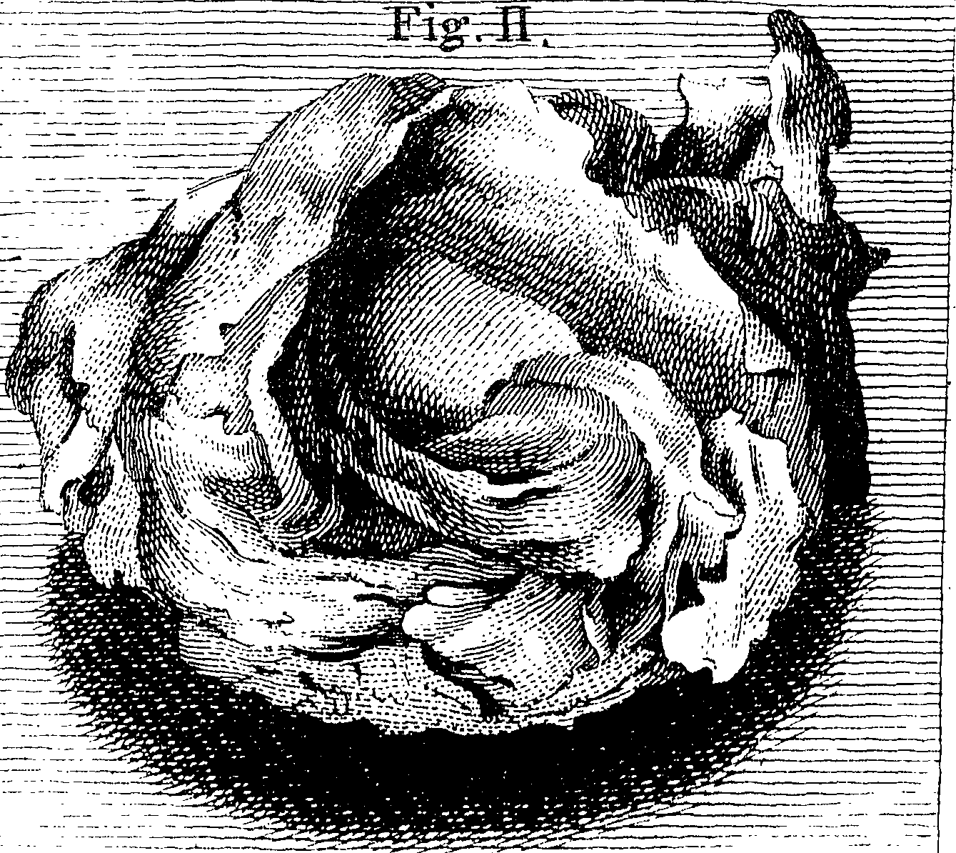 123/123150020300820_0.png