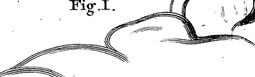 123/123150020300890_2.png