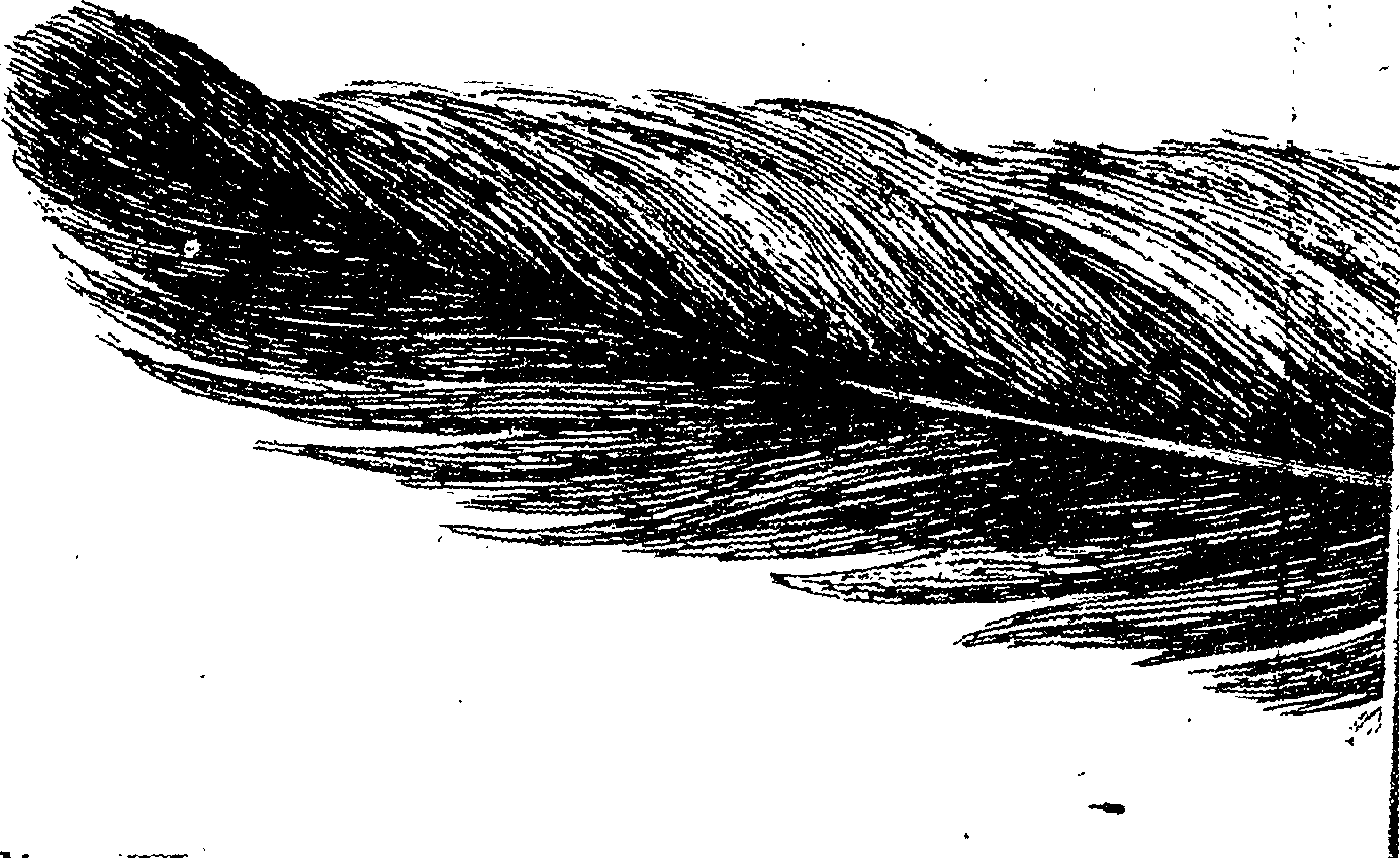 123/123150020304470_0.png