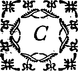 123/123160010400050_0.png