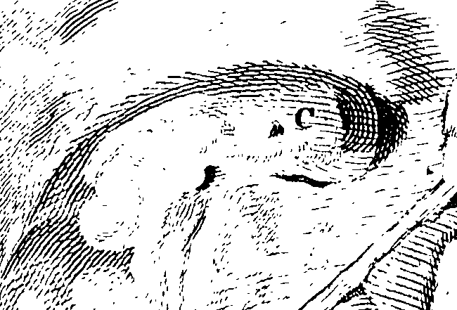 123/123160010404290_0.png