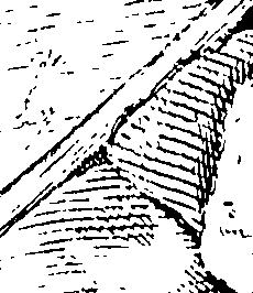 123/123160010404310_0.png