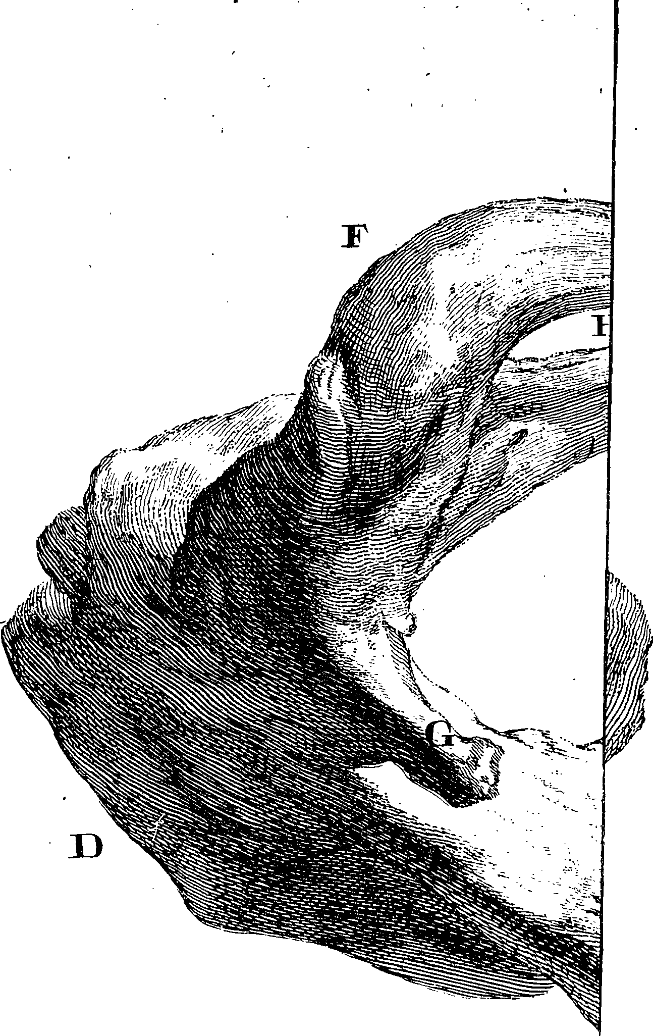 123/123160010404350_0.png